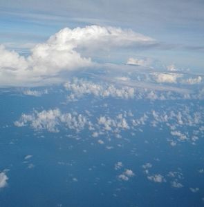 Meet your Posher, Florence